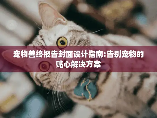 宠物善终报告封面设计指南:告别宠物的贴心解决方案 宠物善终报告封面设计指南:告别宠物的贴心解决方案