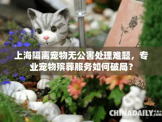 上海隔离宠物无公害处理难题，专业宠物殡葬服务如何破局？