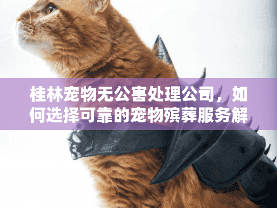 桂林宠物无公害处理公司，如何选择可靠的宠物殡葬服务解决后顾之忧？