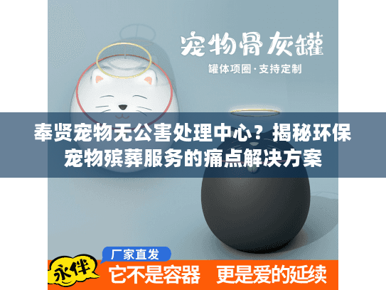 奉贤宠物无公害处理中心？揭秘环保宠物殡葬服务的痛点解决方案
