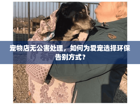 宠物店无公害处理，如何为爱宠选择环保告别方式？