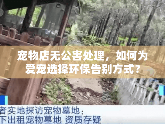 宠物店无公害处理，如何为爱宠选择环保告别方式？