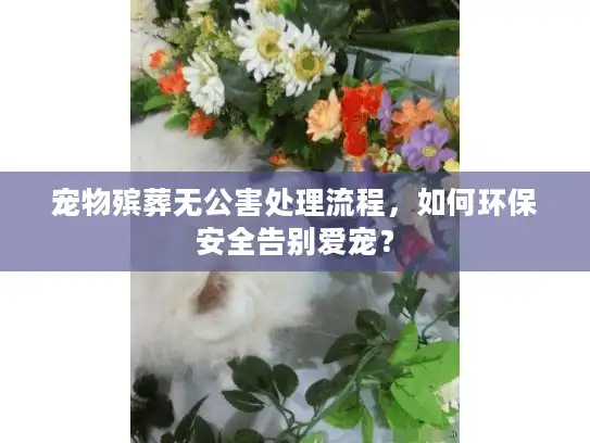 宠物殡葬无公害处理流程,如何环保安全告别爱宠? 宠物殡葬无公害处理流程,如何环保安全告别爱宠?
