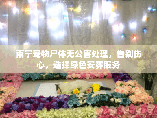 南宁宠物尸体无公害处理，告别伤心，选择绿色安葬服务