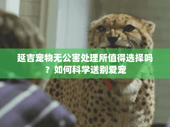 延吉宠物无公害处理所值得选择吗？如何科学送别爱宠