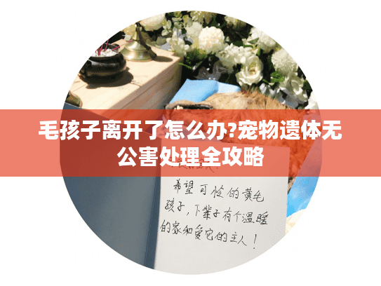 毛孩子离开了怎么办?宠物遗体无公害处理全攻略