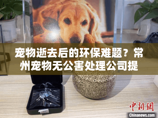 宠物逝去后的环保难题?常州宠物无公害处理公司提供专业解决方案 宠物逝去后的环保难题?常州宠物无公害处理公司提供专业解决方案