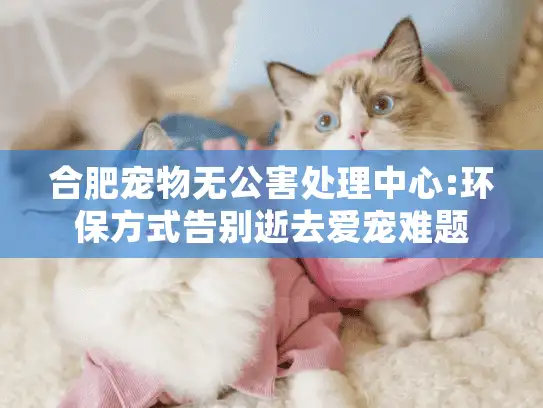 合肥宠物无公害处理中心:环保方式告别逝去爱宠难题