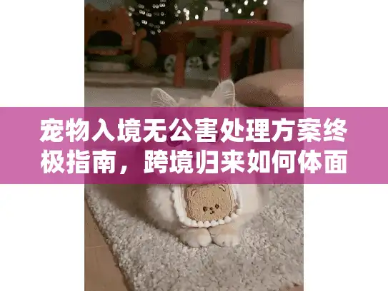 宠物入境无公害处理方案终极指南，跨境归来如何体面告别？