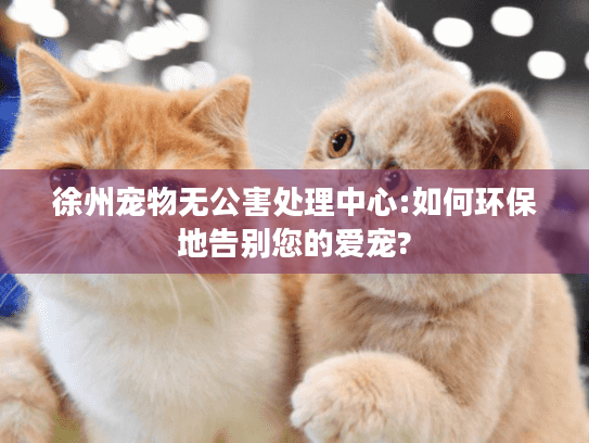 徐州宠物无公害处理中心:如何环保地告别您的爱宠?