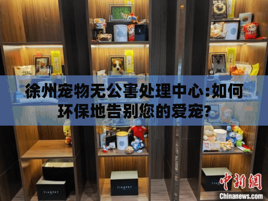 徐州宠物无公害处理中心:如何环保地告别您的爱宠?