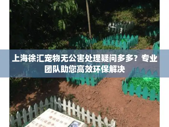 上海徐汇宠物无公害处理疑问多多？专业团队助您高效环保解决