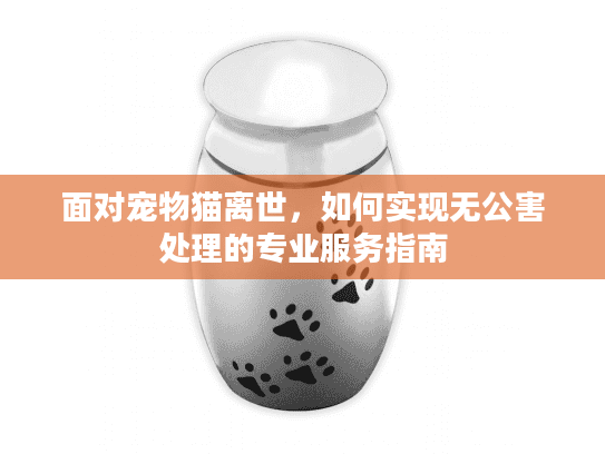 面对宠物猫离世，如何实现无公害处理的专业服务指南