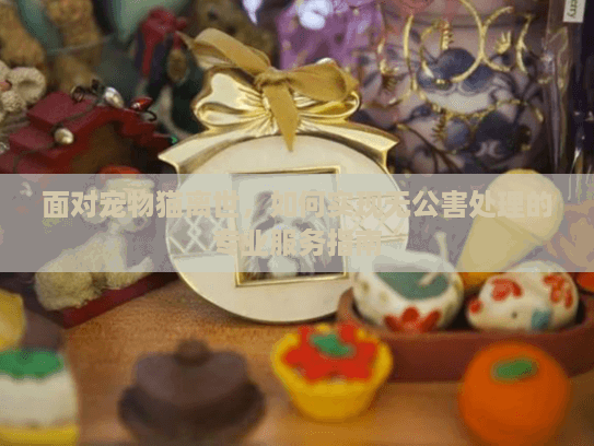 面对宠物猫离世，如何实现无公害处理的专业服务指南