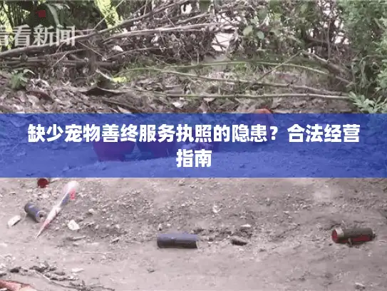 缺少宠物善终服务执照的隐患？合法经营指南