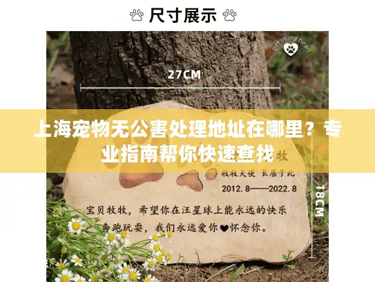 上海宠物无公害处理地址在哪里?专业指南帮你快速查找 上海宠物无公害处理地址在哪里?专业指南帮你快速查找
