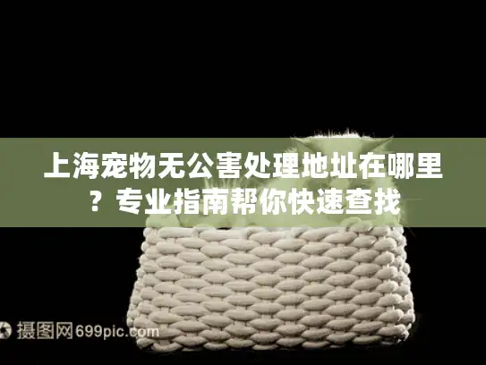 上海宠物无公害处理地址在哪里?专业指南帮你快速查找 上海宠物无公害处理地址在哪里?专业指南帮你快速查找