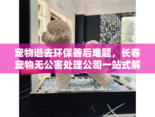 宠物逝去环保善后难题，长春宠物无公害处理公司一站式解决