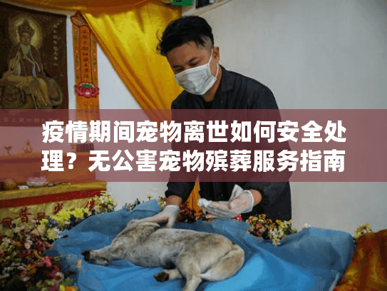 疫情期间宠物离世如何安全处理？无公害宠物殡葬服务指南