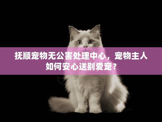 抚顺宠物无公害处理中心，宠物主人如何安心送别爱宠？