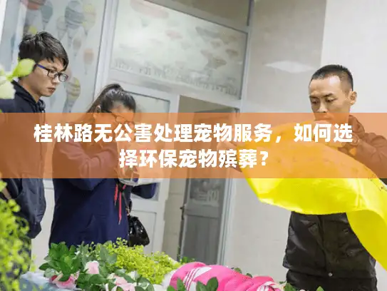 桂林路无公害处理宠物服务，如何选择环保宠物殡葬？