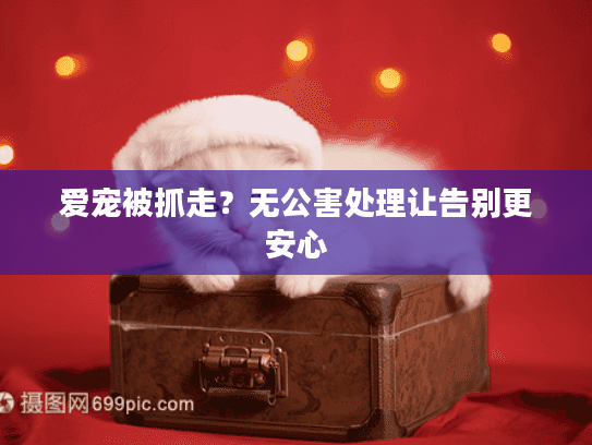 爱宠被抓走？无公害处理让告别更安心