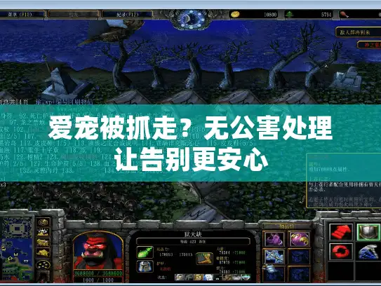 爱宠被抓走？无公害处理让告别更安心