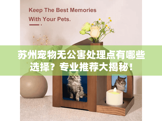 苏州宠物无公害处理点有哪些选择？专业推荐大揭秘！