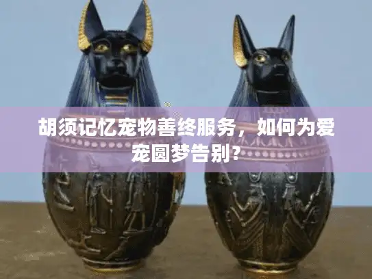 胡须记忆宠物善终服务,如何为爱宠圆梦告别? 胡须记忆宠物善终服务,如何为爱宠圆梦告别?