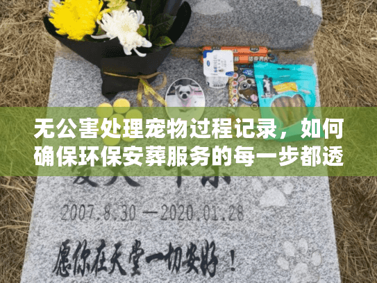 无公害处理宠物过程记录，如何确保环保安葬服务的每一步都透明可靠？