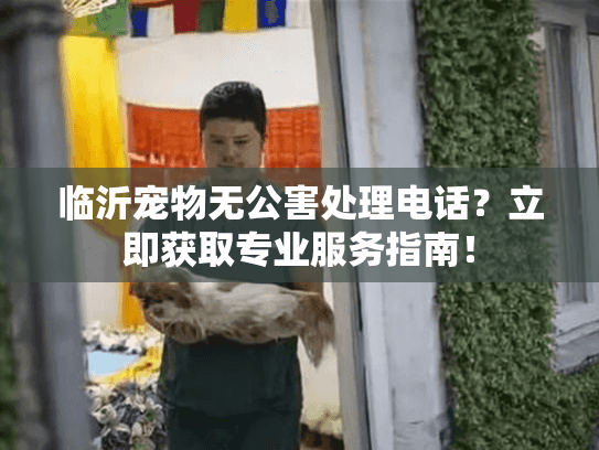 临沂宠物无公害处理电话？立即获取专业服务指南！