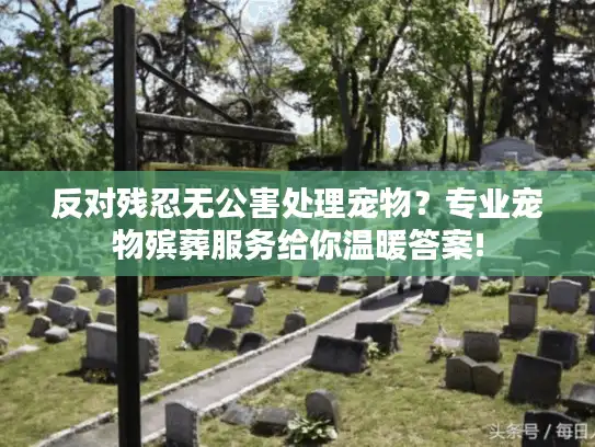 反对残忍无公害处理宠物？专业宠物殡葬服务给你温暖答案!
