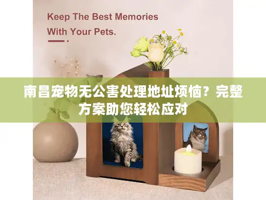 南昌宠物无公害处理地址烦恼？完整方案助您轻松应对