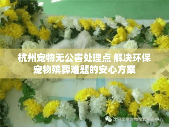 杭州宠物无公害处理点 解决环保宠物殡葬难题的安心方案