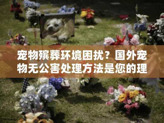 宠物殡葬环境困扰？国外宠物无公害处理方法是您的理想解