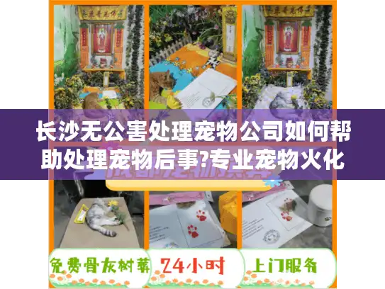 长沙无公害处理宠物公司如何帮助处理宠物后事?专业宠物火化服务解析