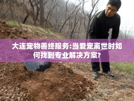 大连宠物善终服务:当爱宠离世时如何找到专业解决方案? 大连宠物善终服务:当爱宠离世时如何找到专业解决方案?