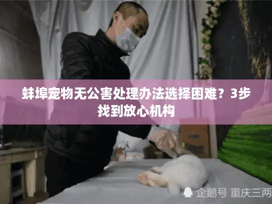 蚌埠宠物无公害处理办法选择困难?3步找到放心机构 蚌埠宠物无公害处理办法选择困难?3步找到放心机构