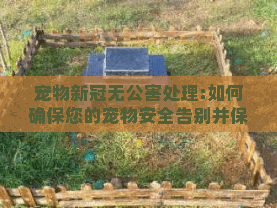 宠物新冠无公害处理:如何确保您的宠物安全告别并保护环境健康?