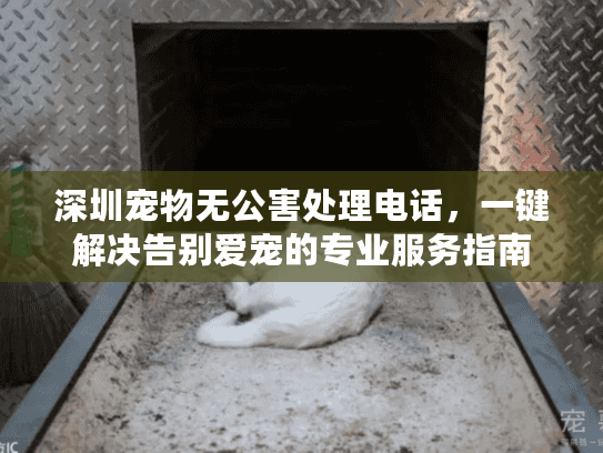 深圳宠物无公害处理电话，一键解决告别爱宠的专业服务指南