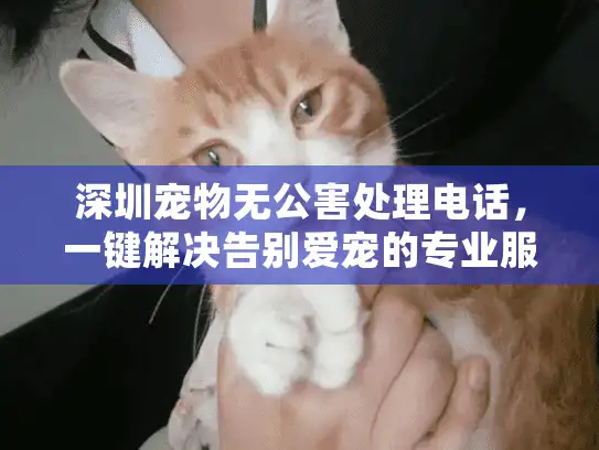 深圳宠物无公害处理电话，一键解决告别爱宠的专业服务指南