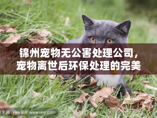 锦州宠物无公害处理公司,宠物离世后环保处理的完美解决方案 锦州宠物无公害处理公司,宠物离世后环保处理的完美解决方案