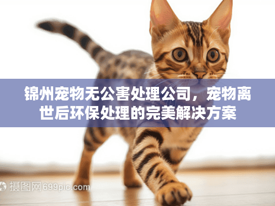 锦州宠物无公害处理公司,宠物离世后环保处理的完美解决方案 锦州宠物无公害处理公司,宠物离世后环保处理的完美解决方案