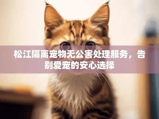 松江隔离宠物无公害处理服务，告别爱宠的安心选择