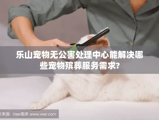 乐山宠物无公害处理中心能解决哪些宠物殡葬服务需求?