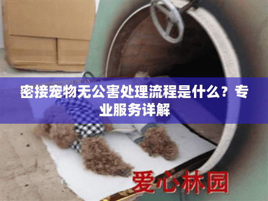 密接宠物无公害处理流程是什么?专业服务详解 密接宠物无公害处理流程是什么?专业服务详解