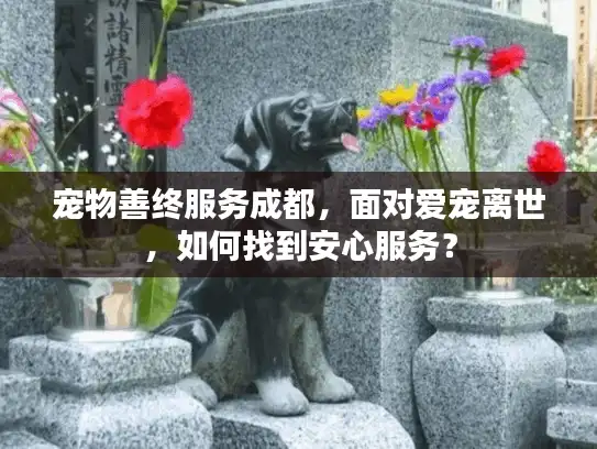 宠物善终服务成都，面对爱宠离世，如何找到安心服务？