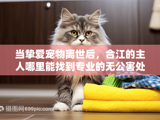 当挚爱宠物离世后，合江的主人哪里能找到专业的无公害处理服务？