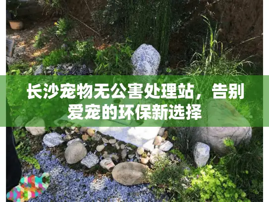 长沙宠物无公害处理站，告别爱宠的环保新选择
