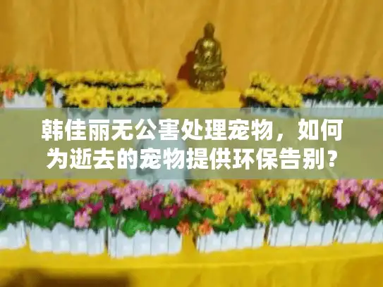 韩佳丽无公害处理宠物，如何为逝去的宠物提供环保告别？